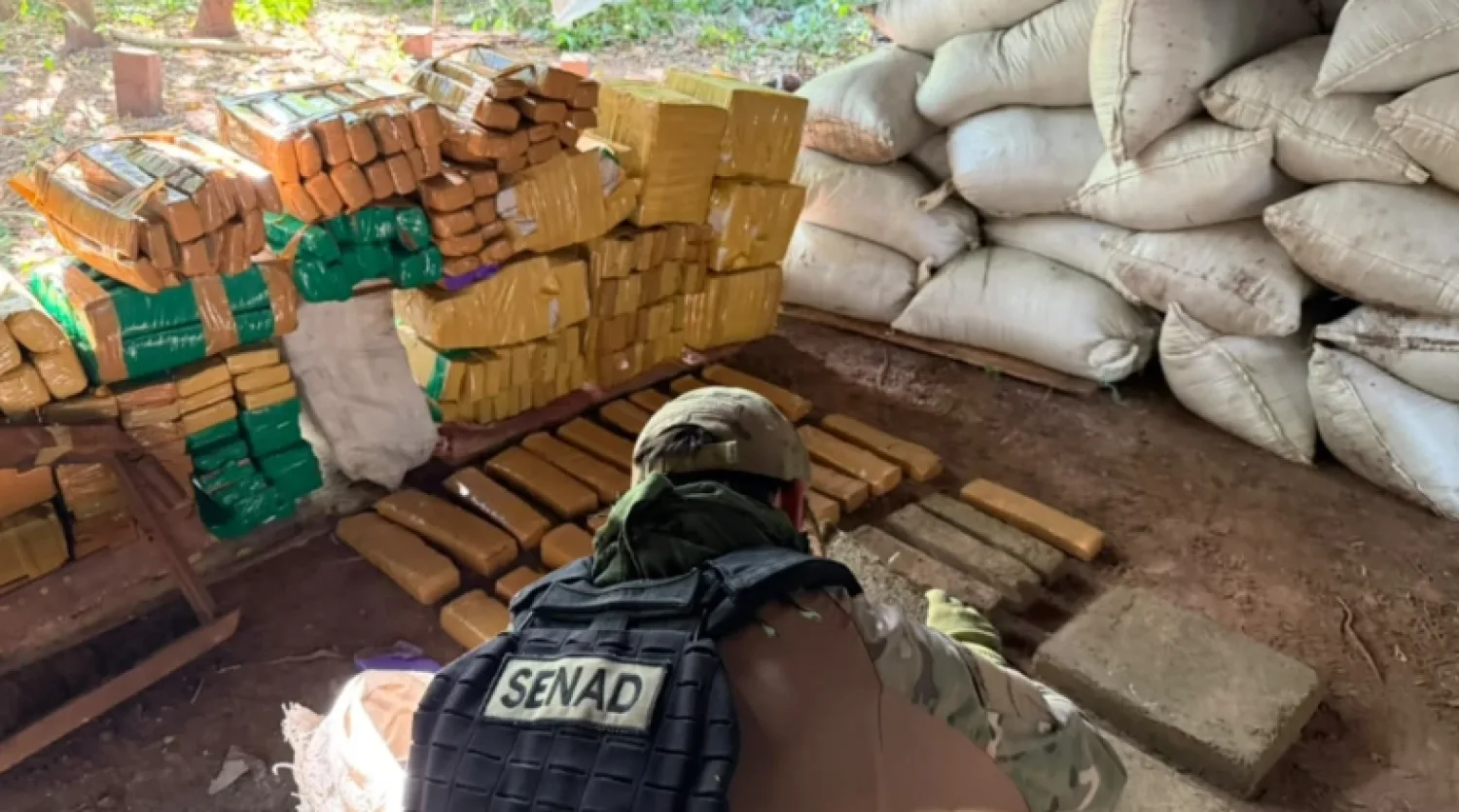 Golpe al narcotráfico: La Senad destruye más de 20 toneladas de marihuana en Amambay