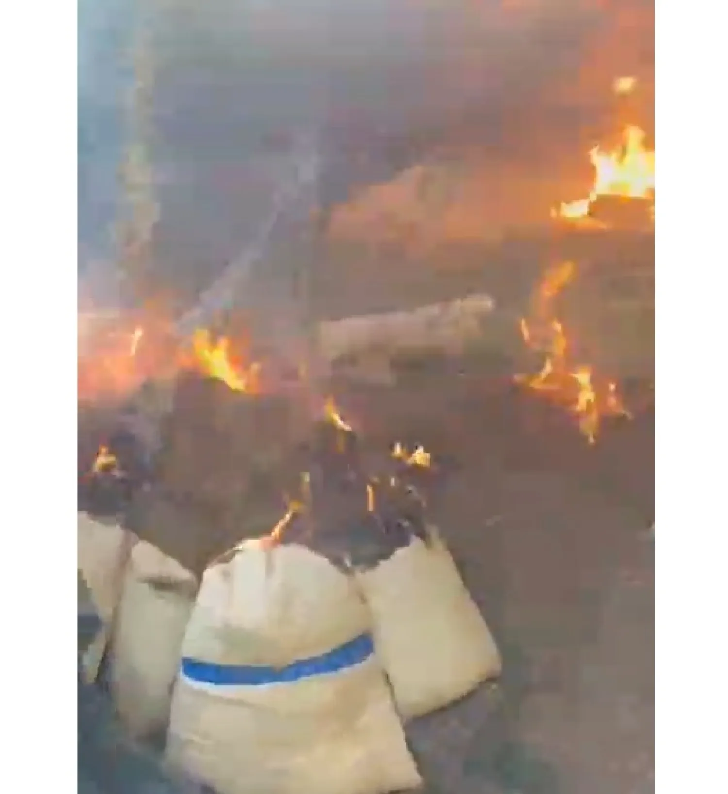 Destruyen campamento y más de dos toneladas de marihuana en Cerro Corá