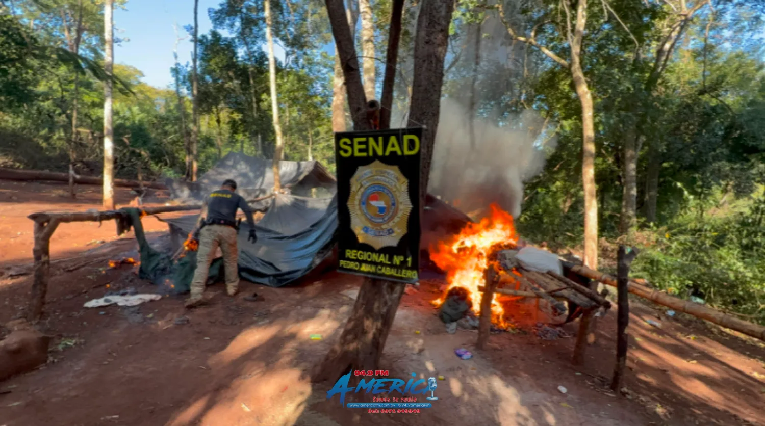 Destruyen campamentos y 8 hectáreas de marihuana en Cerro Corá