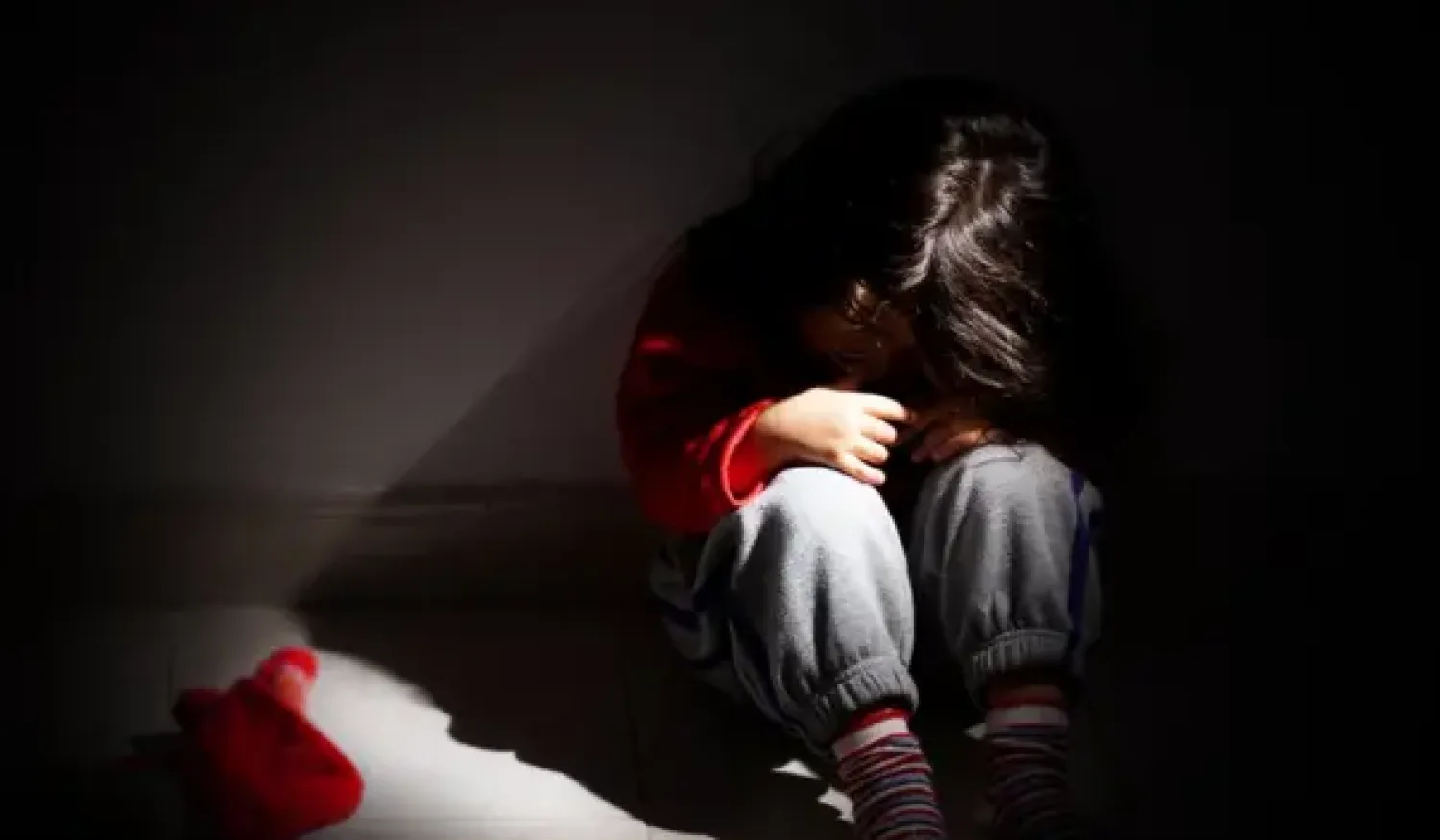 Caso niña con TEA agredida: Familia paterna aporta pruebas a la Fiscalía y busca recuperar la custodia