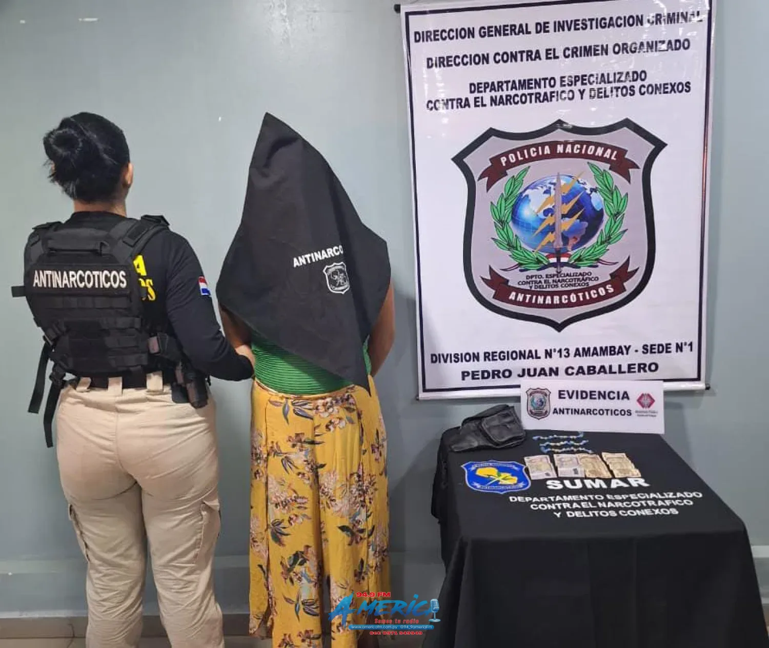 Detienen a una mujer con supuesto crack y destruyen 6 hectáreas de marihuana en Pedro Juan Caballero