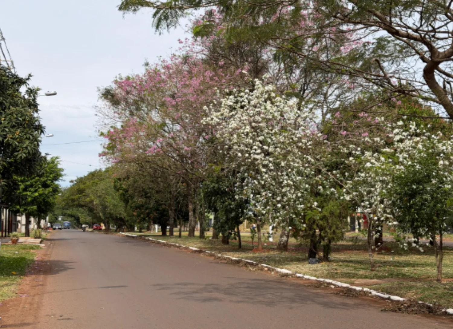 Captura De Pantalla 2026-08-02 170006