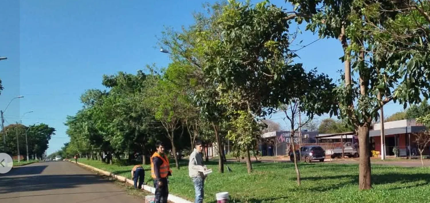 Captura De Pantalla 2026-08-10 115034