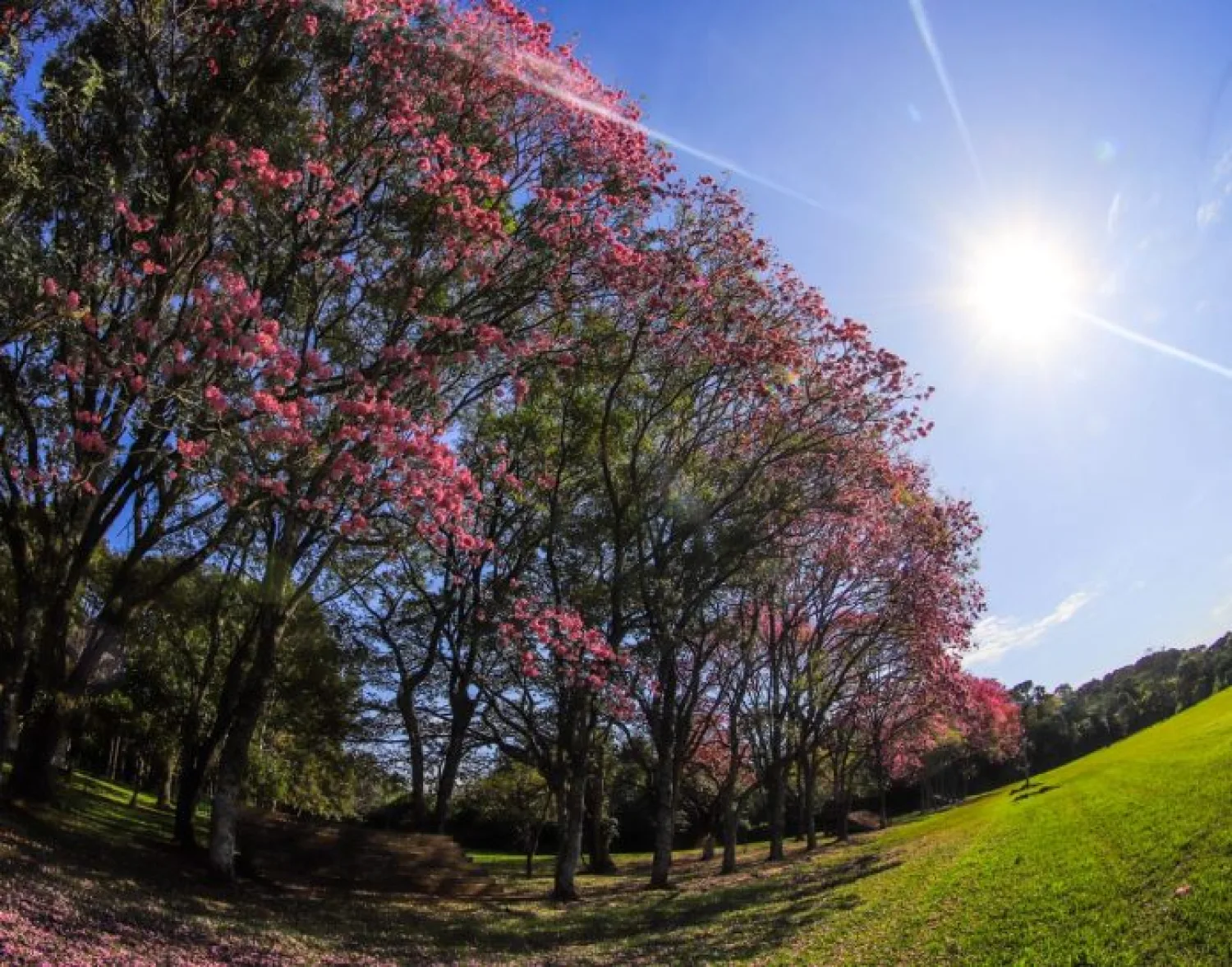 Jueves cálido a caluroso en el país y con máximas de hasta 33 °C en Pedro Juan Caballero