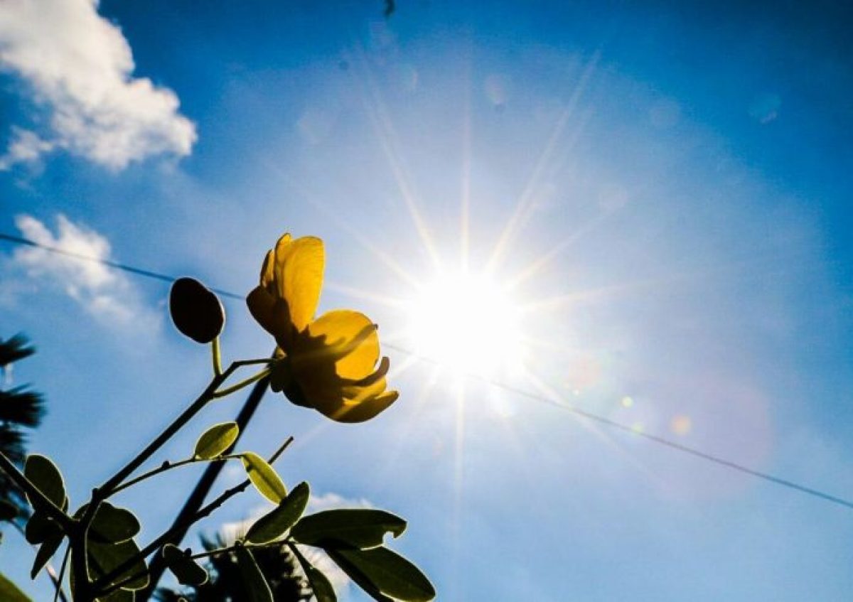 Ambiente caluroso y baja probabilidad de lluvias dominará el país este viernes