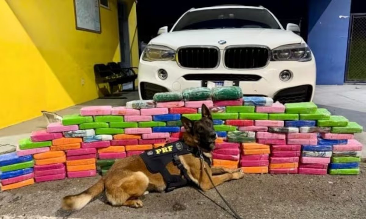 Incautan BMW con chapa paraguaya y 136 kilos de cocaína en Brasil, y suman otro cargamento en CDE