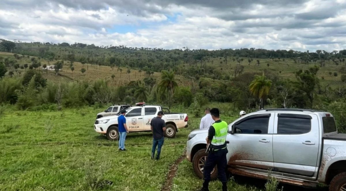 Desconocidos faenaron tres animales vacunos en una estancia