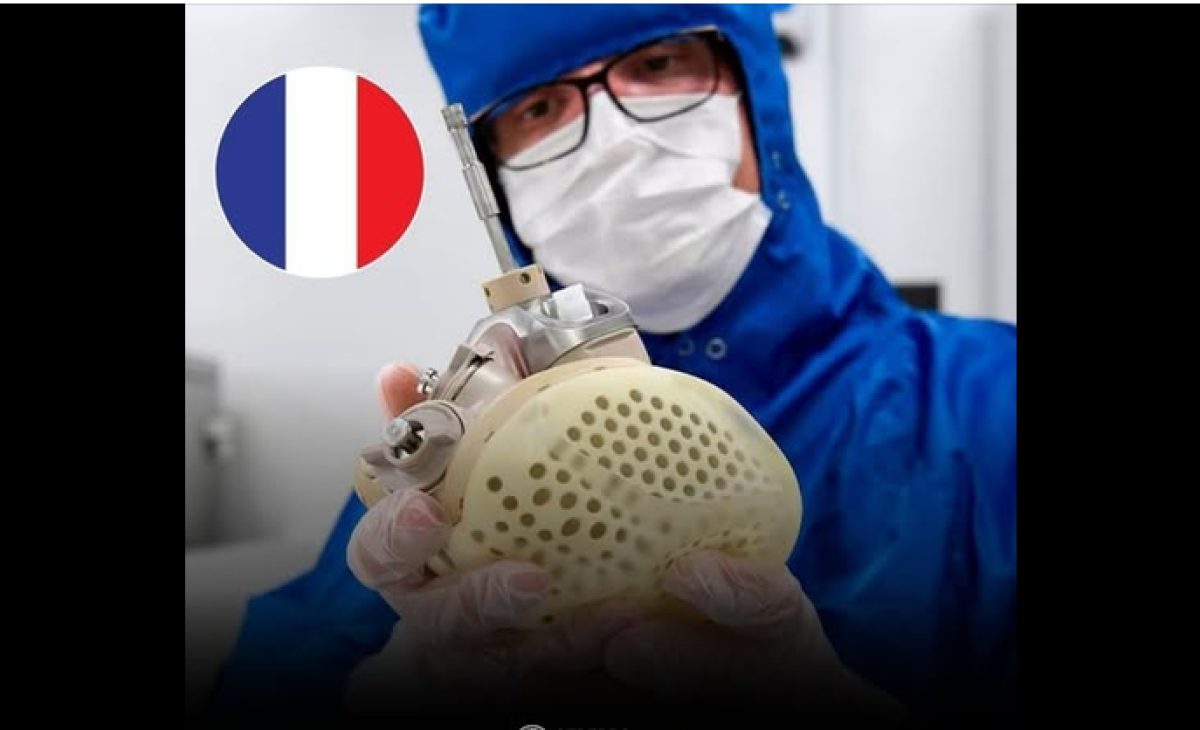 Francia desarrolla Carmat, el corazón artificial biológico que imita al órgano humano